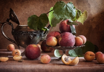 javascript函数是做什么的,简单介绍