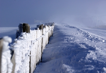 React报错:Error: Too many re-renders. React limits the number of renders to prevent an infinite loop.